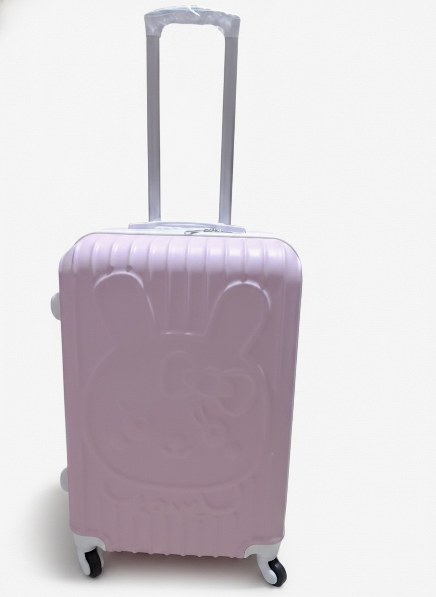 Cute Pink Travelling Box (Single)
