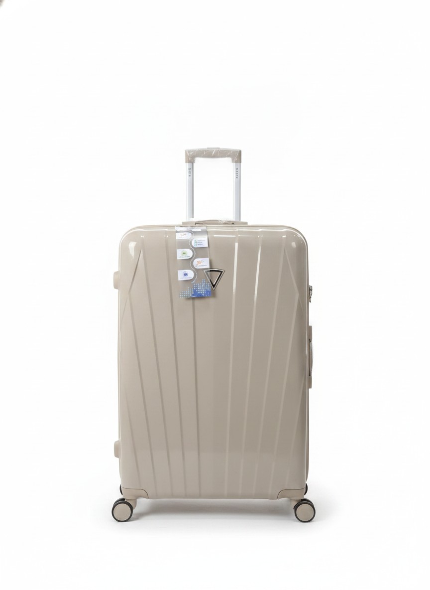Luxe Fashion Traveling box