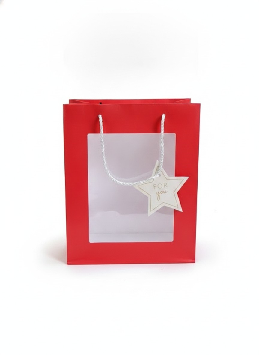 For You See-through Gift Bag
