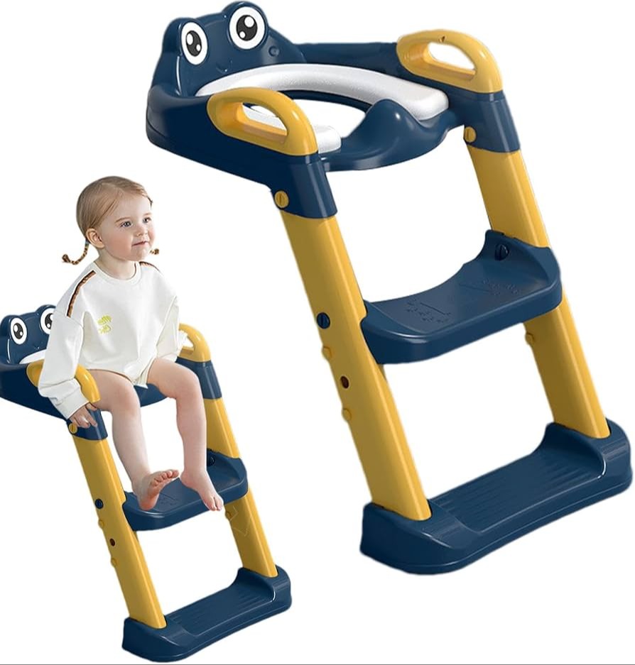 Toilet Ladder