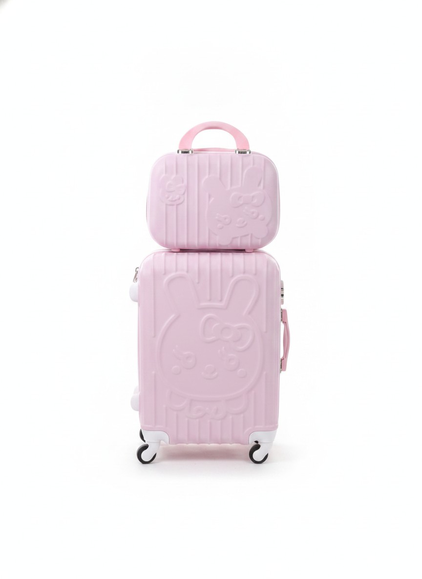 Cute Pink Travelling Box 2in1